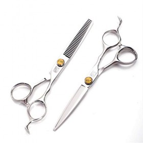 Kit de toilettage pour chien, kit de cisailles de coiffure professionnel haut de gamme 6,0 pouces 440C Ciseaux à dents de c