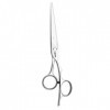 Jaguar Ciseaux de coiffeur Silver Line Fame 5,5 "