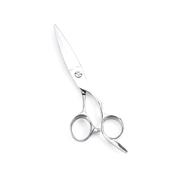 6" Professional Barber Hair Thinning and Cutting Scissors Razor Edge and Teeth Edge Thinning Hair Scissors Shears Hairdressin