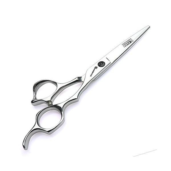 Ciseaux pour Animaux de Compagnie Ciseaux pour Cheveux Professionnels Ciseaux pour Cheveux de 6 Pouces Ciseaux pour Cheveux M