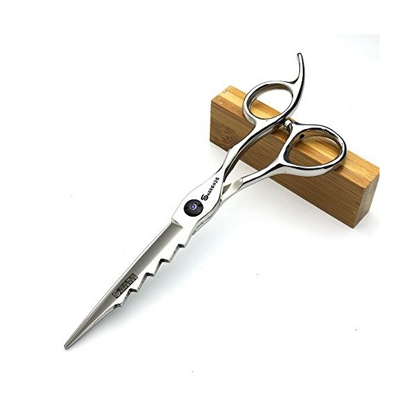 Ciseaux pour Animaux de Compagnie 6"Silver Professional Hair Ciseaux Sharp 400C Steel Ciseaux