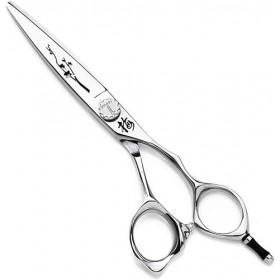 Ciseaux de coiffure, ciseaux de coiffure, ciseaux de coupe de salon, ciseaux de barbier, pour salon de coiffure, salon et usa