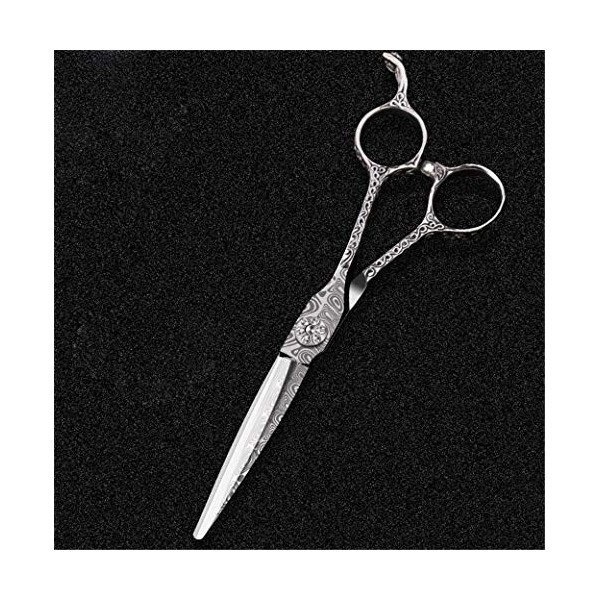 6,0 Pouces Ciseaux De Coiffure Salon De Coiffure Ensemble Confortable Coupe-Dents Durable Ciseaux Plat V Dilution Ciseaux Cou