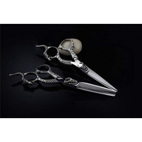 DIHAO Ensemble de Ciseaux à Cheveux et Ciseaux Amincissants de Coiffure, Jouant Le Coffret de présentation Mince de 6,0 Pouce