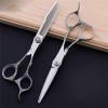 Coiffure Barber Scissor Set Professionnel Coiffeurs Salon Inoxydable en Acier Hommes Femmes Enfants Et Adultes Ciseaux Ciseau