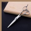 Coiffure Barber Scissor Set Professionnel Coiffeurs Salon Inoxydable en Acier Hommes Femmes Enfants Et Adultes Ciseaux Ciseau