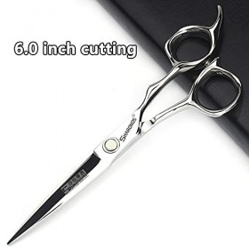 Ciseaux pour Animaux de Compagnie 6"Ciseaux de Coiffure Professionnels Ensemble de Ciseaux Salon de Coiffure Ciseaux daminci ...