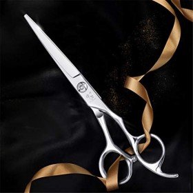 Chaomeiart 6.0 Pouces Professionnel Coiffure Ciseaux De Coiffure Salon De Coiffure Set Japan Steel 440C Haute Qualité Dents C