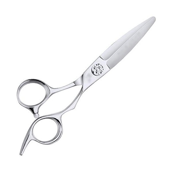 Outils de coupe des cheveux Ciseaux de dent plats doutil de coiffure professionnel, coupe de cheveux de professionnel de coi