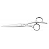 Jaguar Ciseaux de coiffeur Silver Line Fame 6.0 "