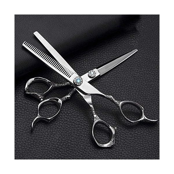 Ciseaux de coiffeur 6,0 pouces Ciseaux de coiffure Cisaille plate en acier inoxydable + Ciseaux à dents Ciseaux de coiffure E