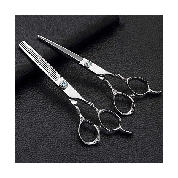 Ciseaux de coiffeur 6,0 pouces Ciseaux de coiffure Cisaille plate en acier inoxydable + Ciseaux à dents Ciseaux de coiffure E