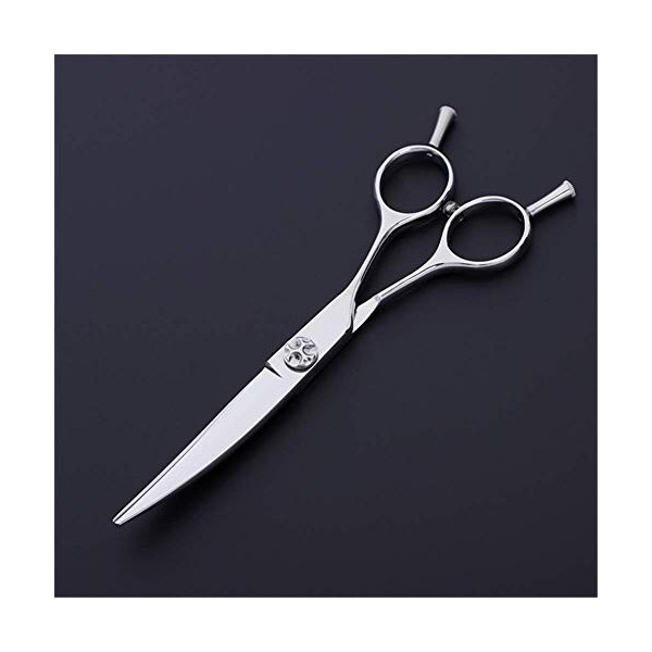 Ensemble de ciseaux de coupe de cheveux pour coiffeur, ciseaux de coupe de cheveux professionnels en acier de qualité de 6,0 