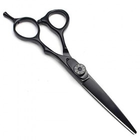 Ciseaux de coiffure de 6,0 pouces, ensemble de ciseaux de cheveux professionnels Ciseaux de coupe de cheveux Ciseaux de coiff