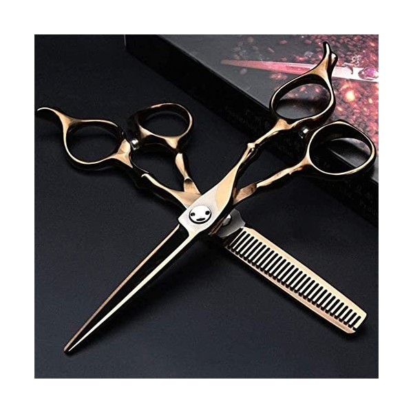 Kit de ciseaux de coiffure Ciseaux de coiffure Ciseaux de coupe et ciseaux de coupe Équipement de coiffure 6 pouces pour coif