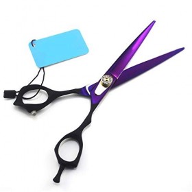 Ciseaux de Coupe de Coiffeur, Ensemble de Ciseaux de Coiffure Professionnels en Diamant, Ciseaux Amincissants Rasage et Épila...
