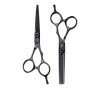 5.5 Pouces Coiffure Salon De Coiffure Hair Scissors Set Professionnel Japon 440C Haute Qualité Cisaillement Salon Ciseaux À E