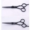 5.5 Pouces Coiffure Salon De Coiffure Hair Scissors Set Professionnel Japon 440C Haute Qualité Cisaillement Salon Ciseaux À E