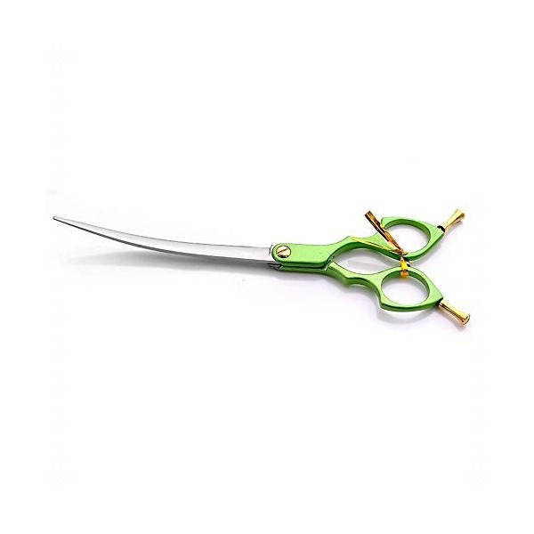 Outils de coupe des cheveux Ciseaux plats de coiffure en acier inoxydable for la coiffure pour femme Color : Green 