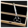 Cisailles de Coupe des Cheveux Ciseaux de Coiffure de 5,5 Pouces pour Les Barbiers, Ciseaux structurels, Ciseaux Plats, Cisea