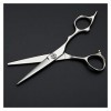 Ciseaux de coiffure et structurels de 5.5 pouces, ciseaux plats, spéciaux pour les ciseaux de coupe de cheveux des coiffeurs