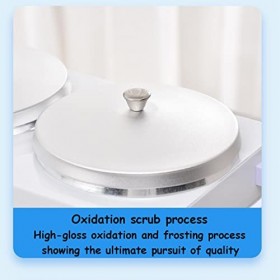 WANGZI Appareil De ThéRapie De Cire De Beauté à Double Pot Machine De Trempe Et De Fusion De Cire Multifonctionnelle Beauté M