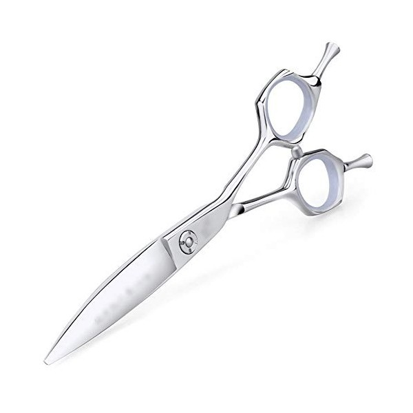 Outils de coupe des cheveux Outil professionnel de coupe de cheveux de coiffeur de 6 pouces, outil de coupe de cheveux de cis