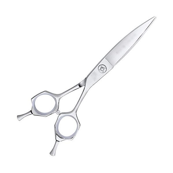 Outils de coupe des cheveux Outil professionnel de coupe de cheveux de coiffeur de 6 pouces, outil de coupe de cheveux de cis