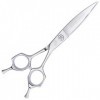 Outils de coupe des cheveux Outil professionnel de coupe de cheveux de coiffeur de 6 pouces, outil de coupe de cheveux de cis