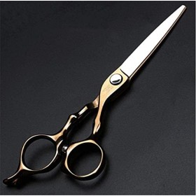 Kit de ciseaux de coiffure Ciseaux de coiffure Ciseaux de coupe et ciseaux de coupe Équipement de coiffure 6 pouces pour coif...