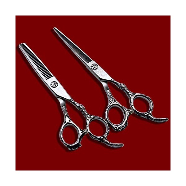 GaoF Ensemble de Coiffure Professionnel pour Coiffeur de 6 Pouces, Ciseaux Professionnels plaqués Or 440C, Ciseaux de Coiffur