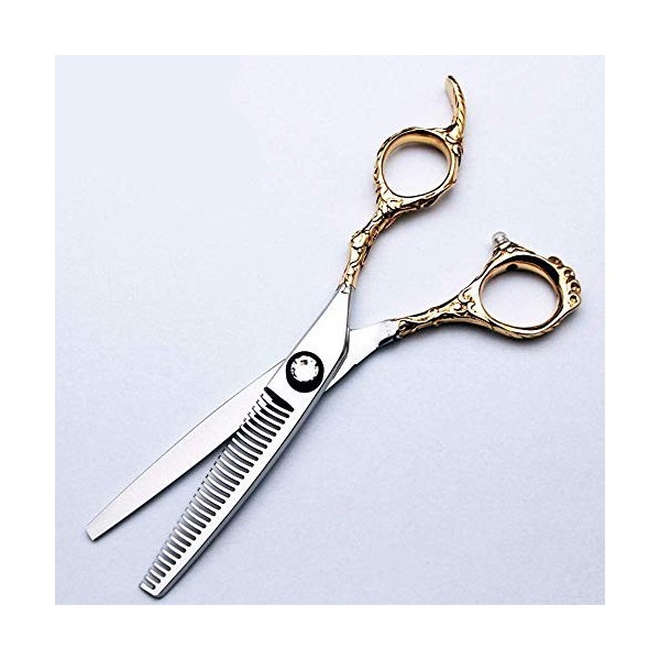 GaoF Ensemble de Coiffure Professionnel pour Coiffeur de 6 Pouces, Ciseaux Professionnels plaqués Or 440C, Ciseaux de Coiffur