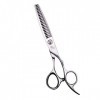 XYSQWZ Ciseaux, Outils de Coiffure Professionnels de Coiffeur de 6 Pouces, Coupe-Dents, Ciseaux de Haute qualité Couleur: Ar