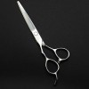 Ciseaux de coiffure pour gauchers Coupe de cheveux familiale Outils de coupe de cheveux professionnels, Cisailles Barber Set 