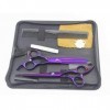 Ciseaux de Coiffure Professionnels Violets, kit de Coupe de Cheveux Outils de Cheveux Ciseaux de Cheveux Ciseaux Droits Aminc