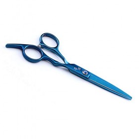 Ciseaux De Coiffure Professionnels Parfaits pour Salon De Coiffure, Coiffeur Coiffeur Et Usage Domestique pour Couper Votre B...