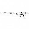 Jaguar Silver Line 4030363122381 CJ4 Plus Ciseaux de coiffure, longueur 17,8 cm, 0,03503 kg