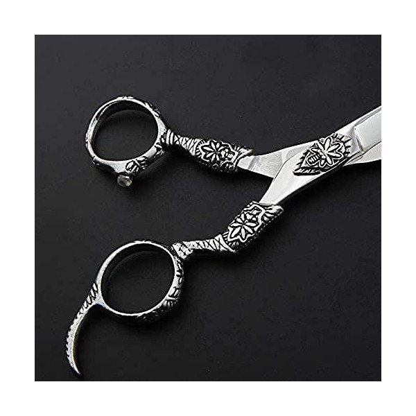 Ciseaux de coiffeur Ciseaux de coupe de cheveux Ciseaux de coiffure de 6 pouces Coiffeur Ciseaux de coiffure spéciaux Ciseaux