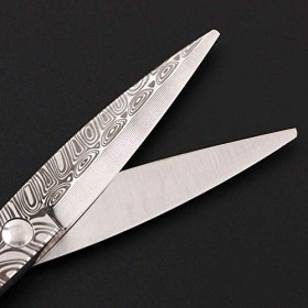 Ciseaux de Coiffure Ciseaux à Feuilles de Saule Cisaillement des Graisses Cisaillement de Cisaillement Ciseaux de Coiffeur Si...