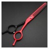 DYTWXG Ciseaux de Coiffeur de 5,5 Pouces, Ciseaux de Coiffure, amincissement des Cheveux, Ciseaux de Coiffeur, Ciseaux de Coi