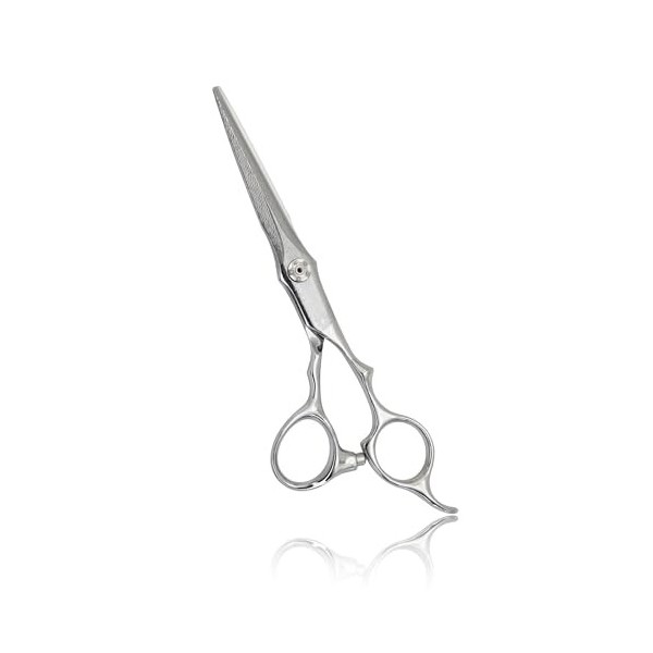 GUNST Ciseaux Coiffure Professionnel 6 Pouce, Damas Ciseaux De Coiffure Argent Pour Coiffeur Droitier