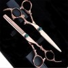 Ciseaux de coiffure Kit de ciseaux de cheveux en or rose Ciseaux de cheveux Kit professionnel de coupe de cheveux pour coiffe