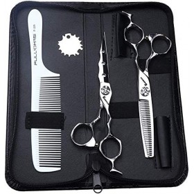 HAOTING Ciseaux de Coupe de Cheveux 6 Pouces Ciseaux de Coiffure et Outil de Coiffure et Ciseaux de Coupe de Cheveux Ciseaux 