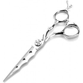 HAOTING Ciseaux de Coupe de Cheveux 6 Pouces Ciseaux de Coiffure et Outil de Coiffure et Ciseaux de Coupe de Cheveux Ciseaux 