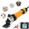 BEAGHTY Cisailles électriques pour Moutons, 450 W pour Moutons, Tondeuse pour Animaux de Compagnie, Tondeuse pour Chien, 6 Vi