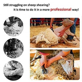 BEAGHTY Cisailles électriques pour Moutons, 450 W pour Moutons, Tondeuse pour Animaux de Compagnie, Tondeuse pour Chien, 6 Vi