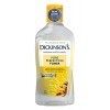 Dickensons Dickinson029595 Original Witch Hazel Hazel Porfait Toner, 16 oz / 475 ml Volume