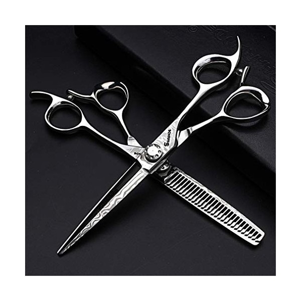 Ciseaux De Coiffure Set, 6,0 Pouces Ciseaux De Coupe De Cheveux Coiffeur Professionnel 17.5Cm , 440C Inoxydable De Sharp Sal