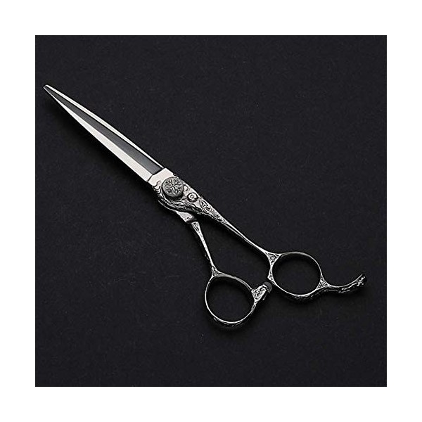 Ciseaux de Coiffure Professionnels pour Coiffeur en Acier Inoxydable 6 Pouces, Argent,