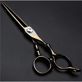 Kit de ciseaux de coiffure Ciseaux de coiffure Ciseaux de coupe et ciseaux de coupe Équipement de coiffure 6 pouces pour coif...